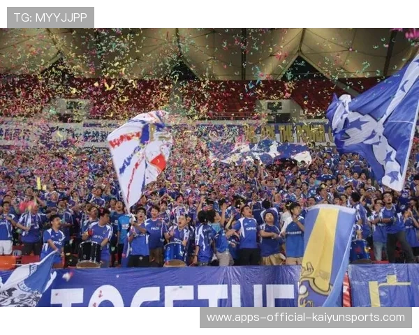 球迷文化多样性成为世界足球特色之一，足球球迷的定义